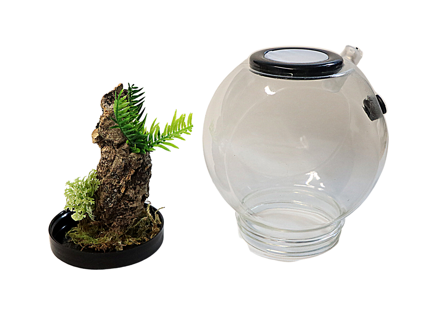 Mini Globe Spider Pod