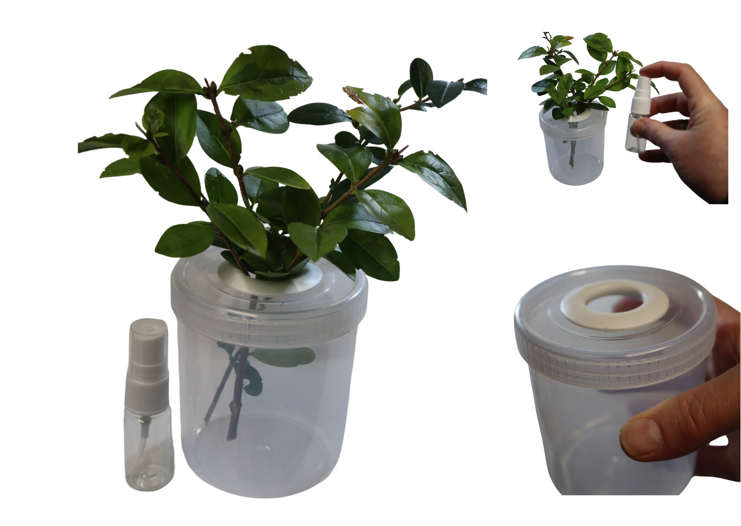 Twig Pot & Mister Set