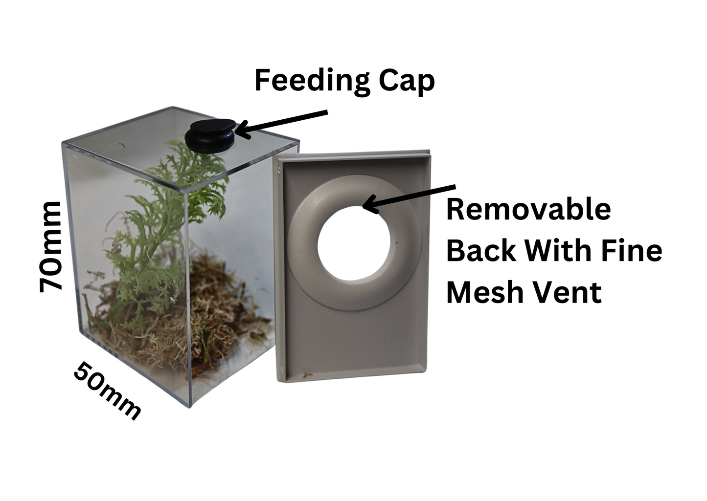Micro Arboreal Rearing Box