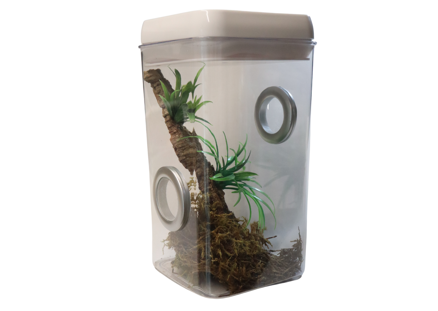 Arboreal Invertebrate Enclosure Coarse Mesh With Decor