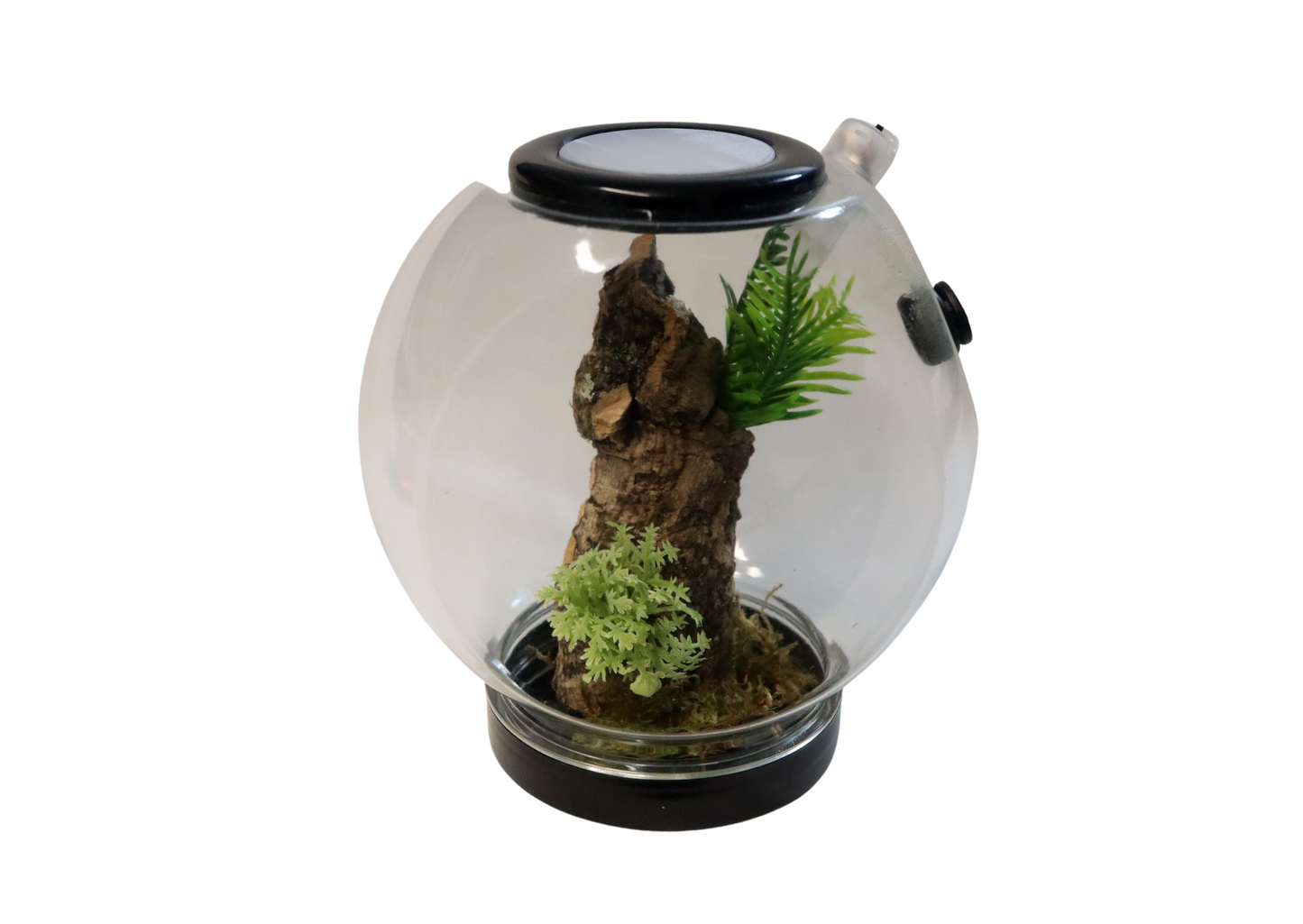 Mini Globe Spider Pod