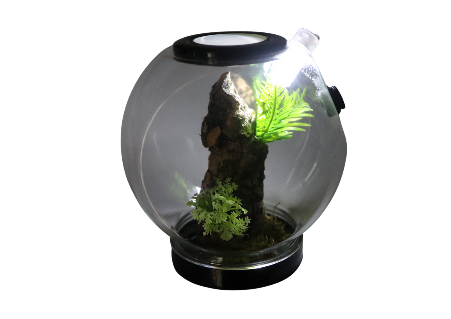 Mini Globe Spider Pod