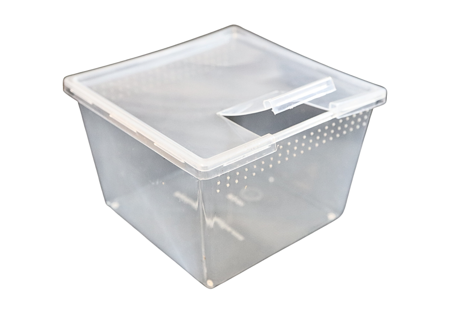Budget Invertebrate Housing