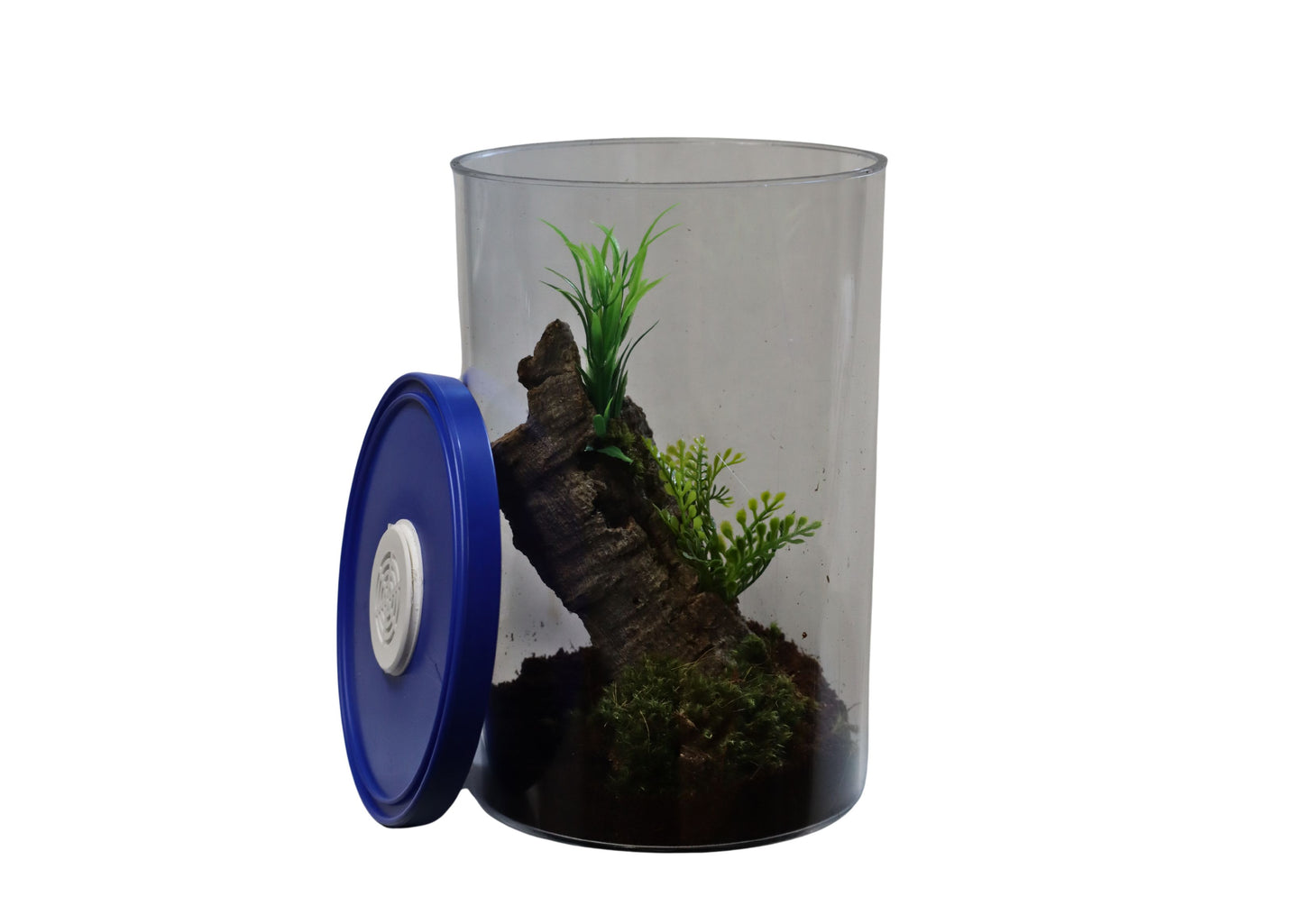 Cylinder Style Terrarium