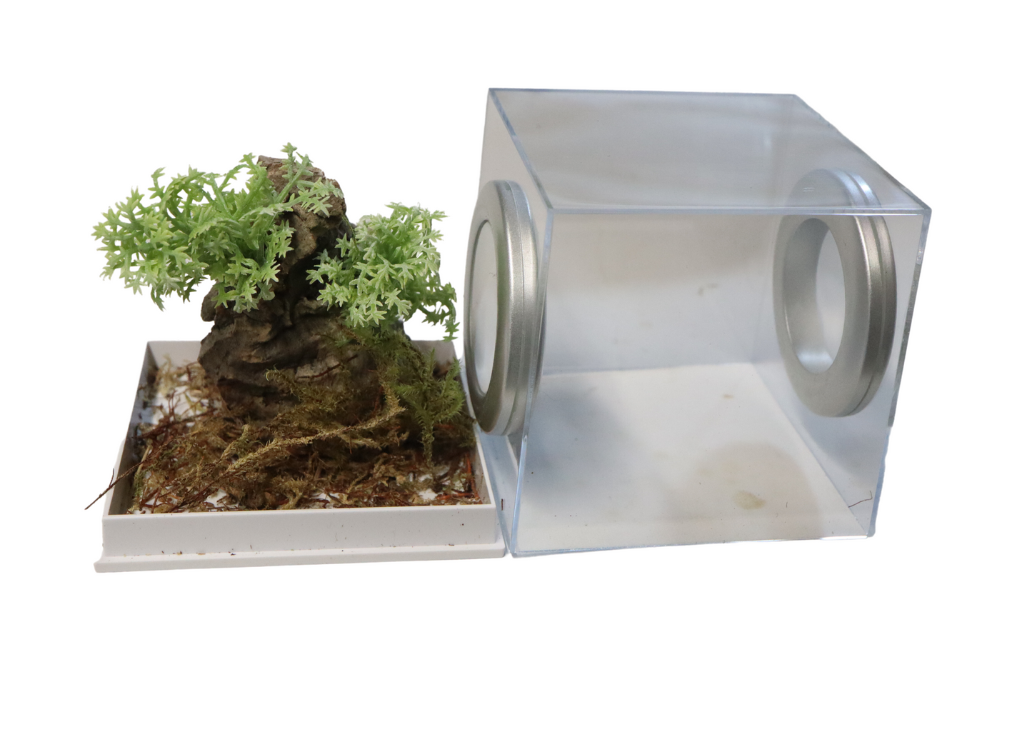 New Style Rearing Cube
