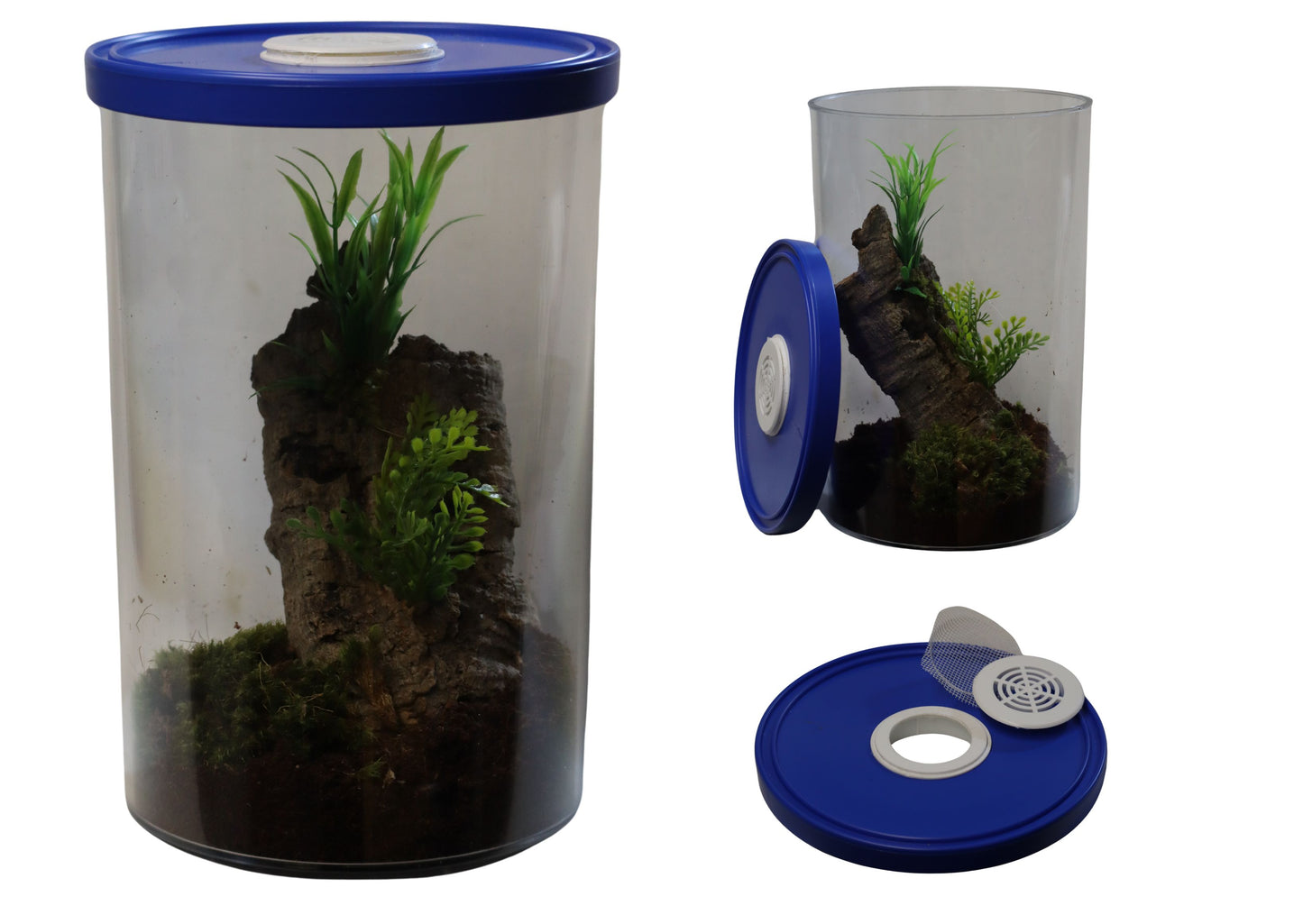Cylinder Style Terrarium