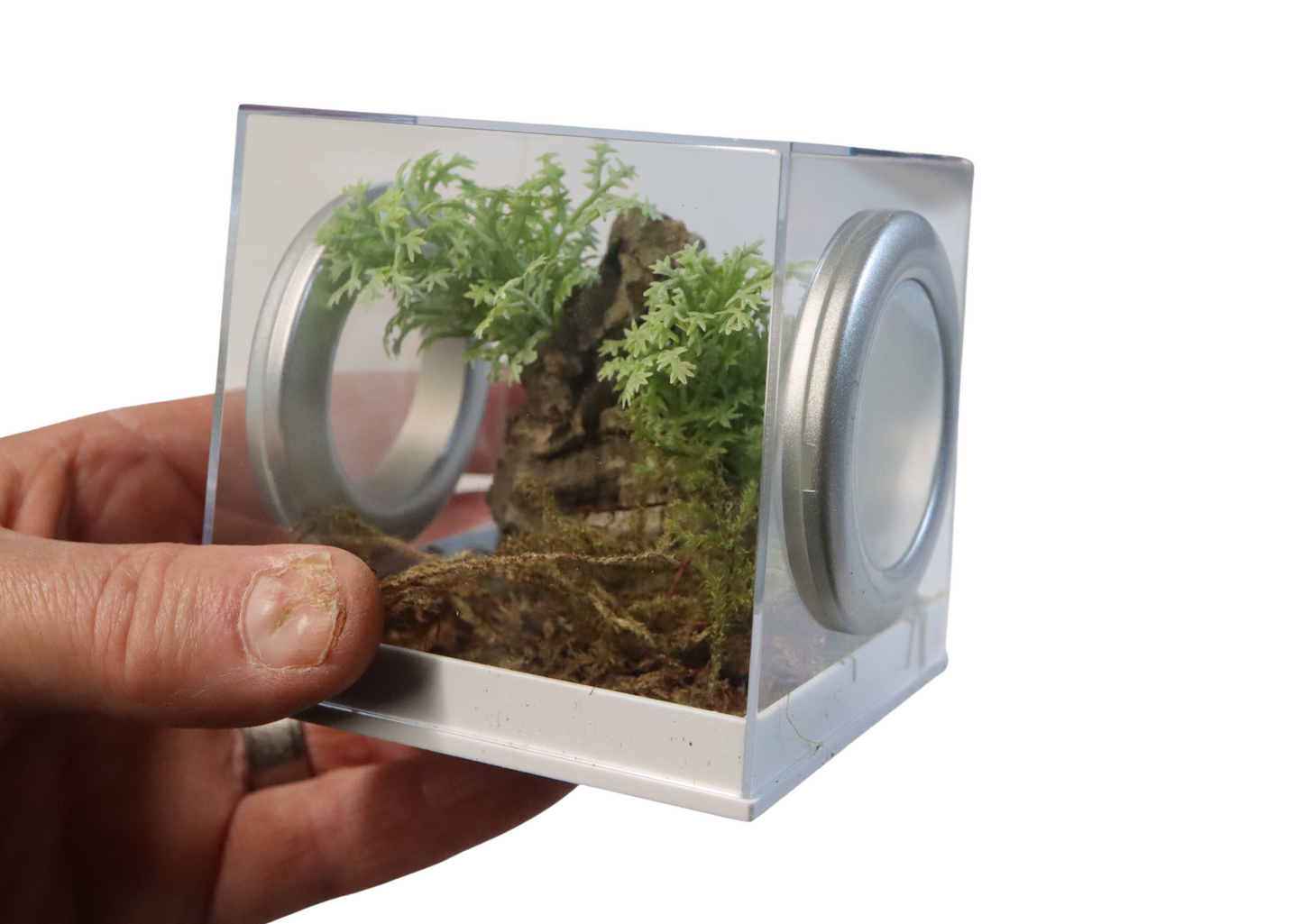 New Style Rearing Cube