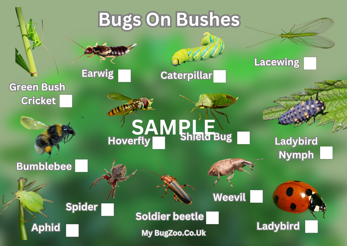 Small A6 Bugs On Bushes Spotter Card