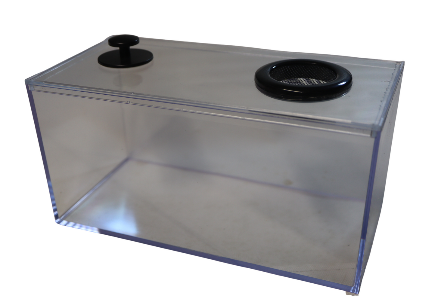 Mini Vivarium Fine Mesh Top Vent & Decor