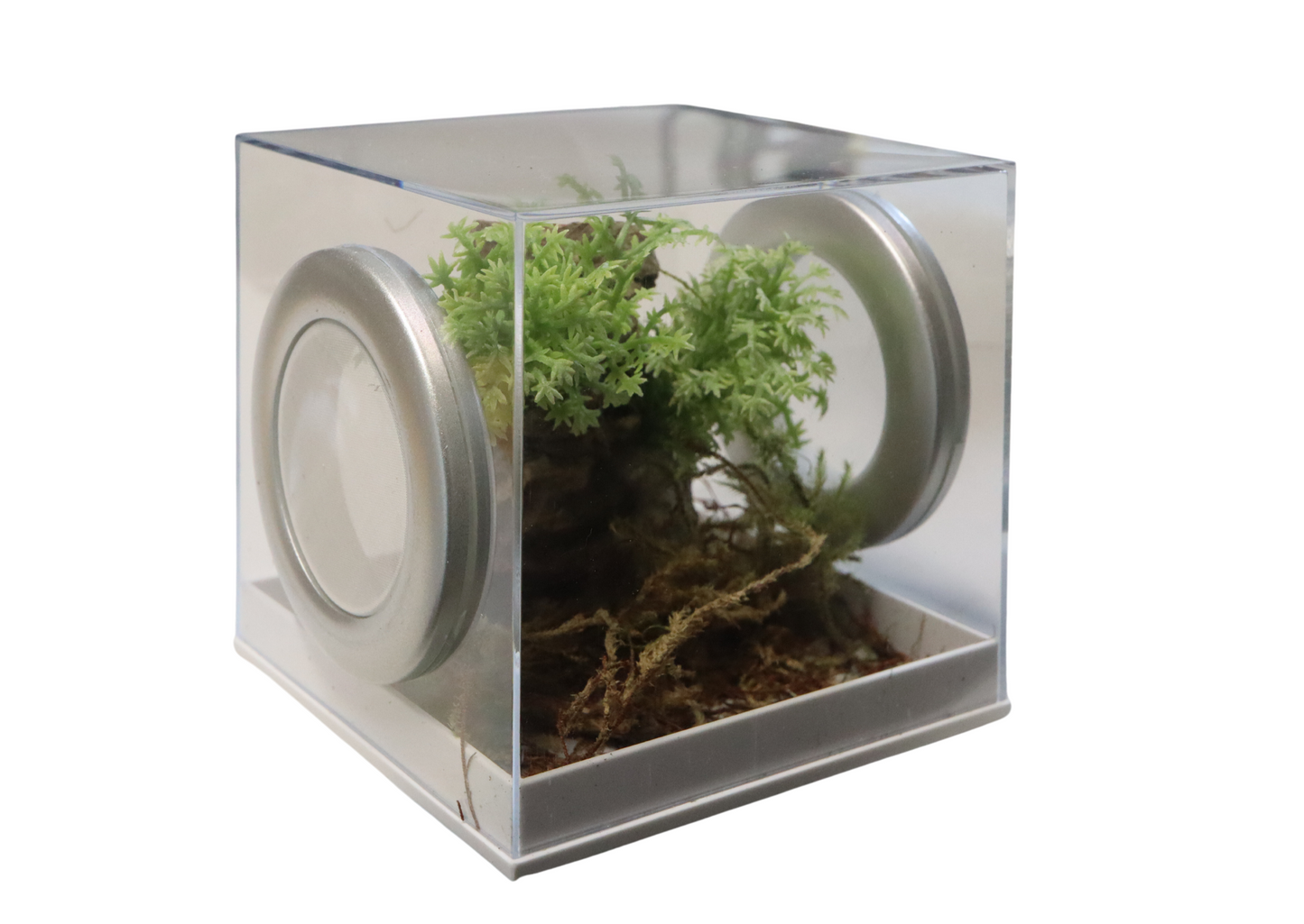 New Style Rearing Cube