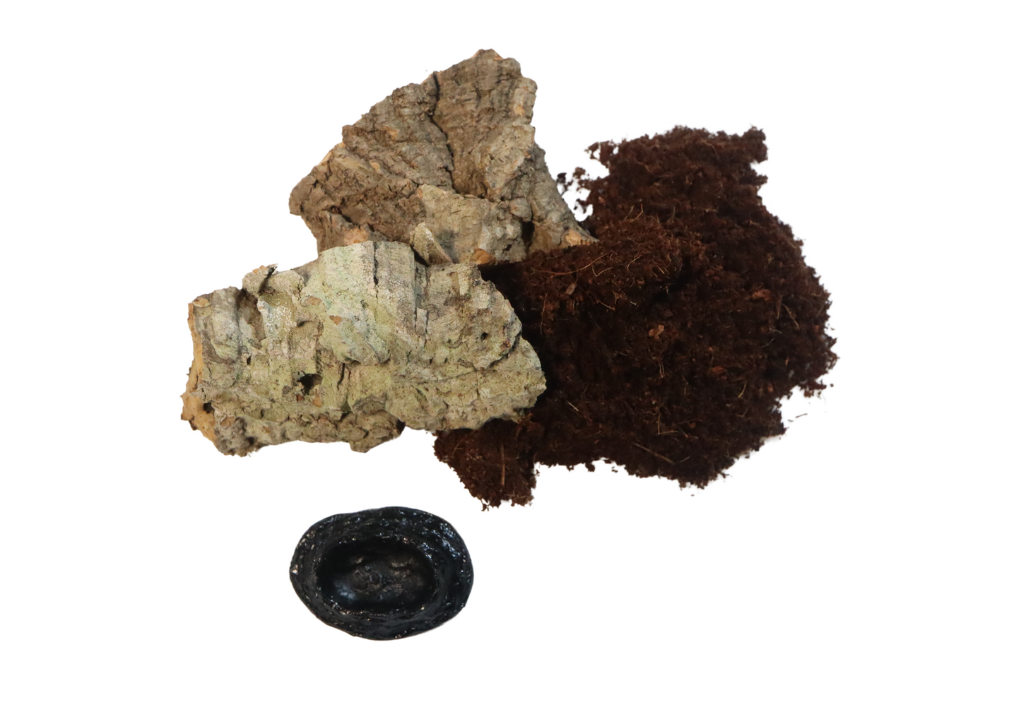 Mini Vivarium Fine Mesh Top Vent & Decor