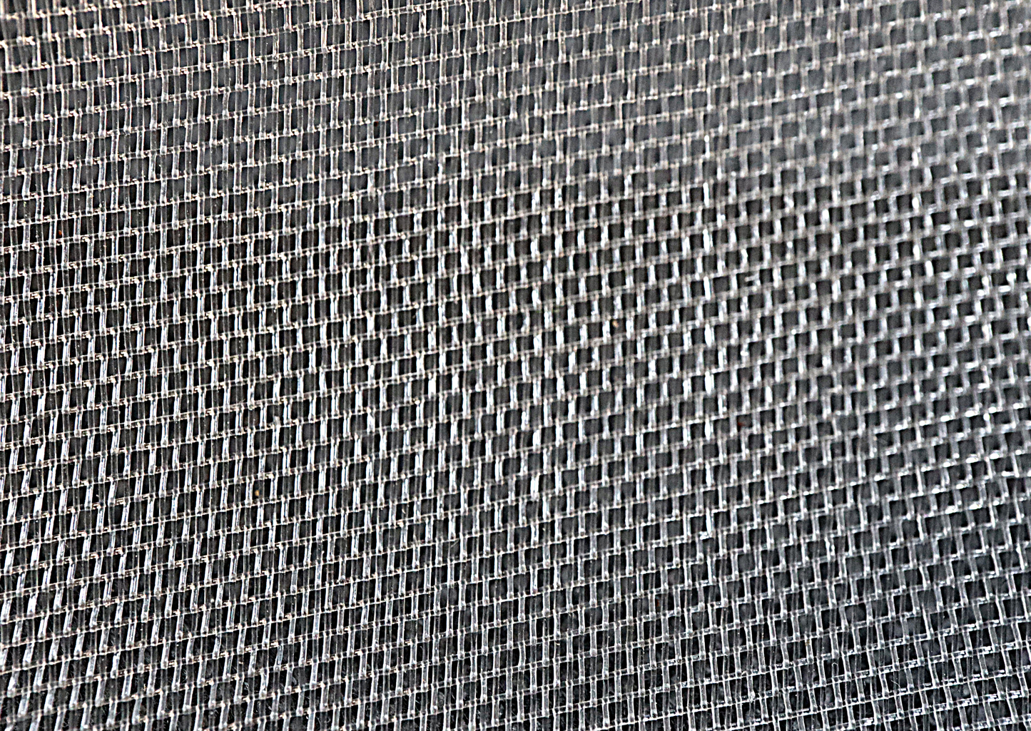 Mini Vivarium Fine Mesh Top Vent & Decor