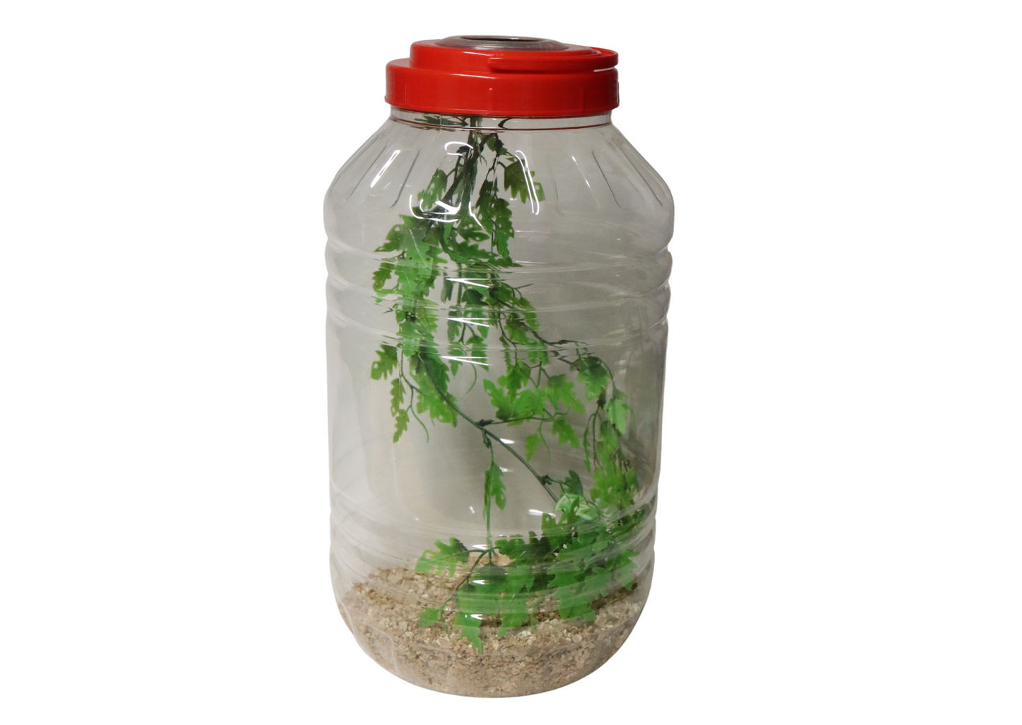 XXL Praying Mantis Jar Including Substrate & Twig Pot Fine Mesh