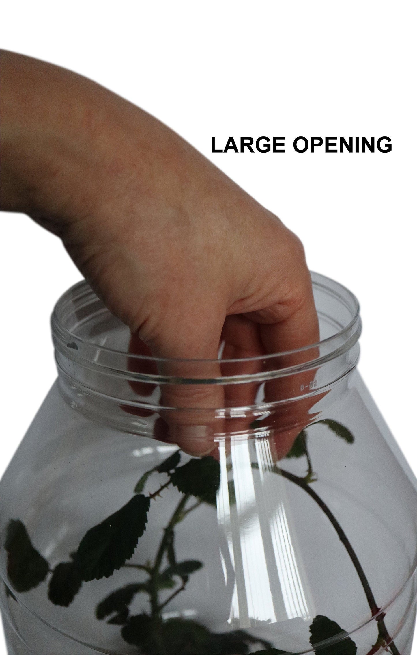 XL Stick Insect Jar Fine Mesh Vent Including Substrate and Twig Pot