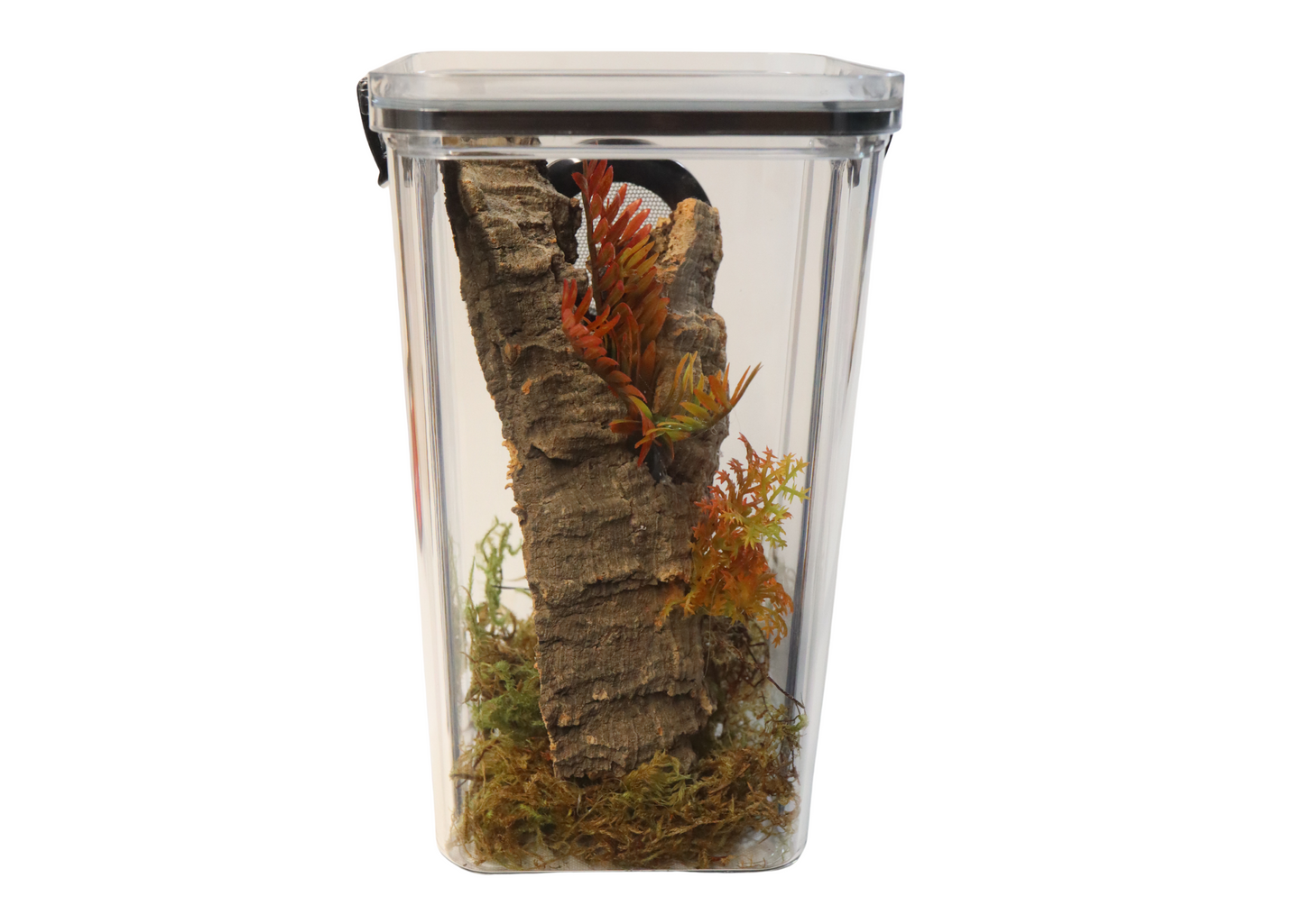 Arboreal Invertebrate Keeper Clear Lid