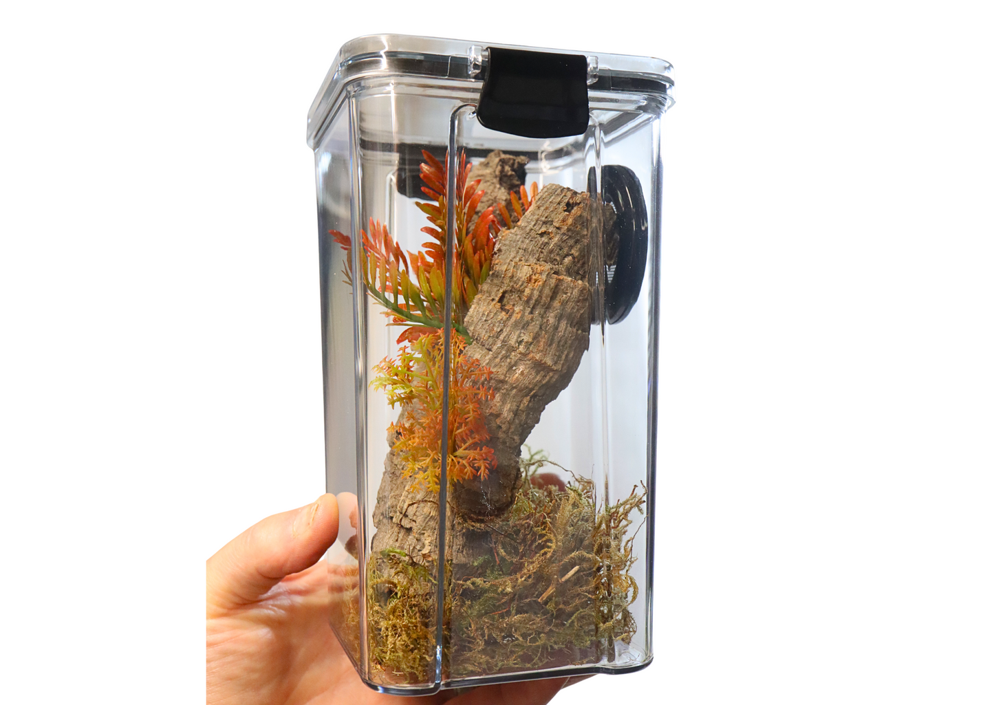 Arboreal Invertebrate Keeper Clear Lid