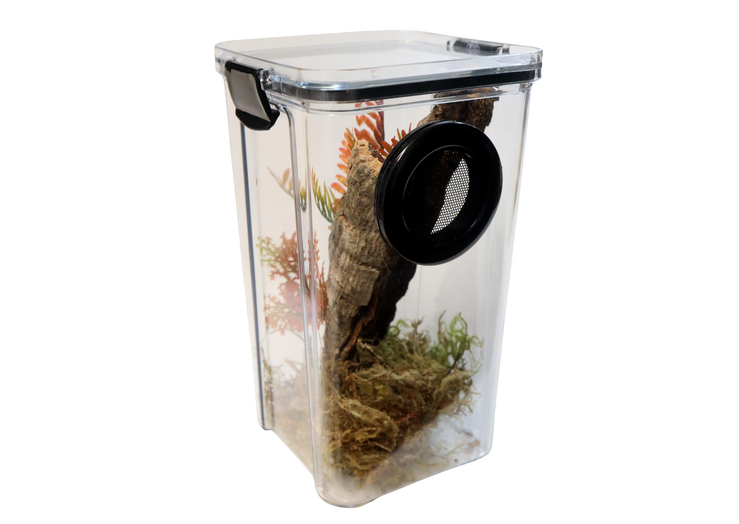 Arboreal Invertebrate Keeper Clear Lid