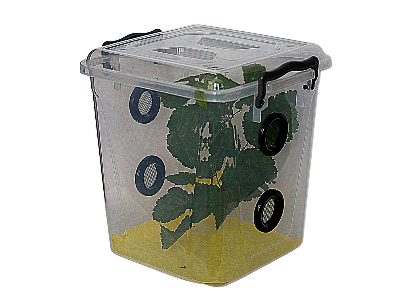 11 LTR Multi Vented Insect Enclosure