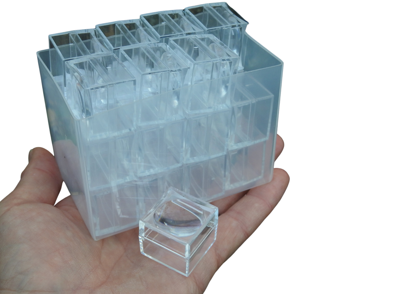 24 x Mini Bug Viewers including case & 12 insect spotter cards