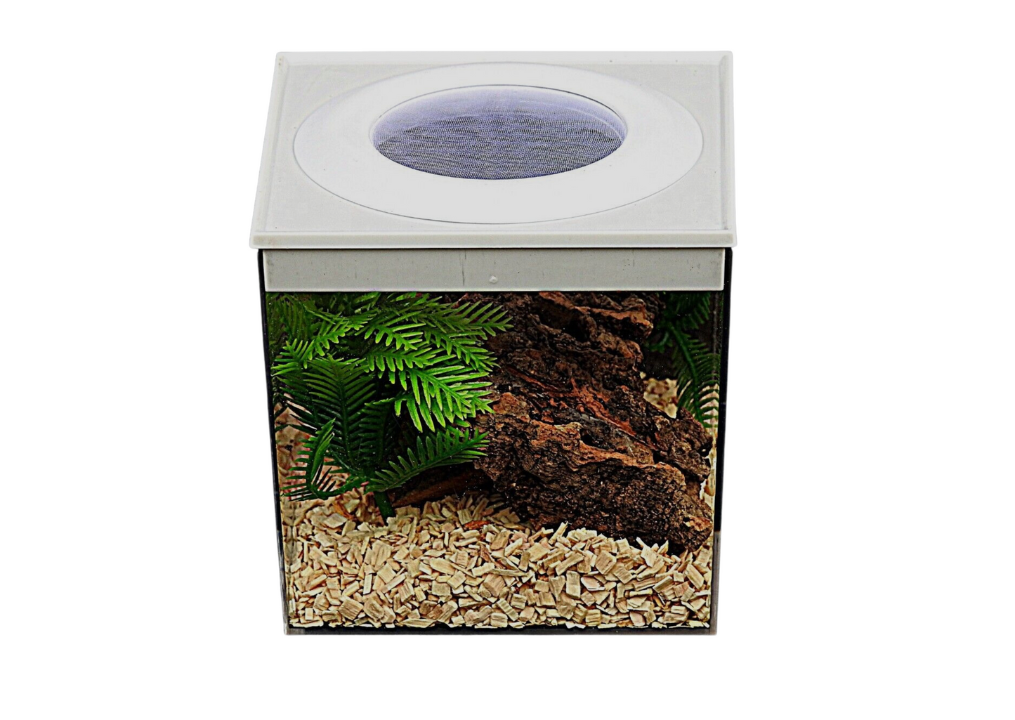 Top Vented Large Cube Rearing Box