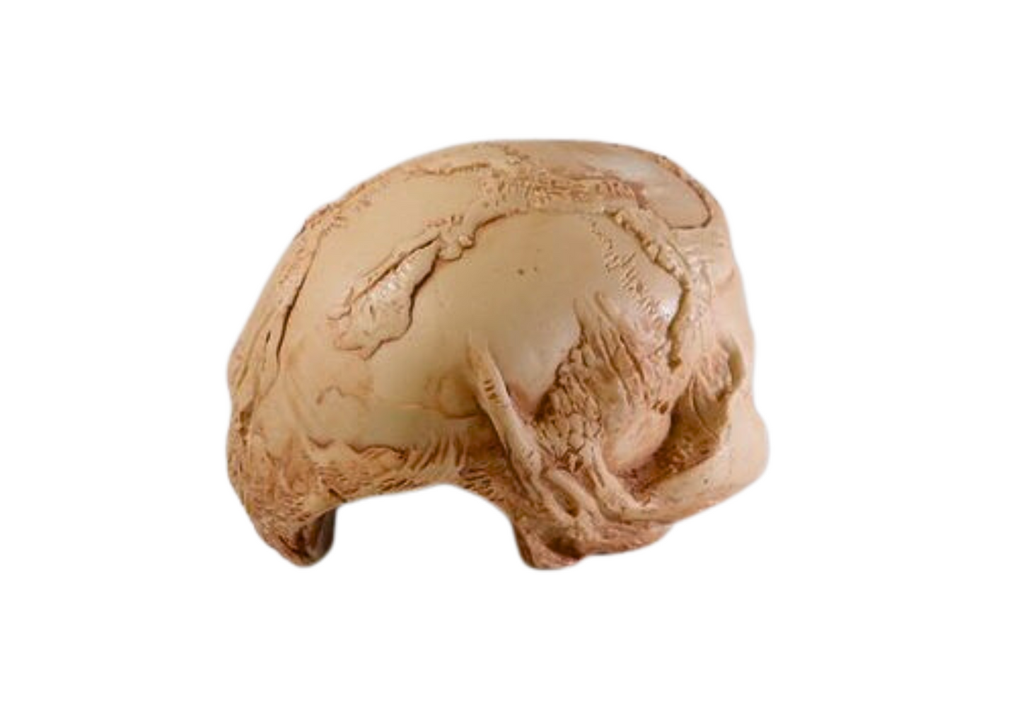 Small Skull Cave