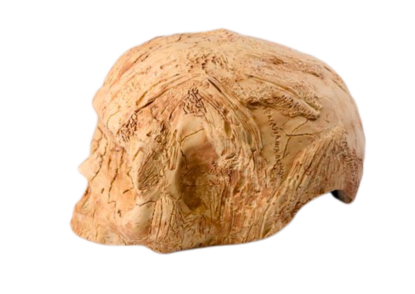 Large Skull Cave