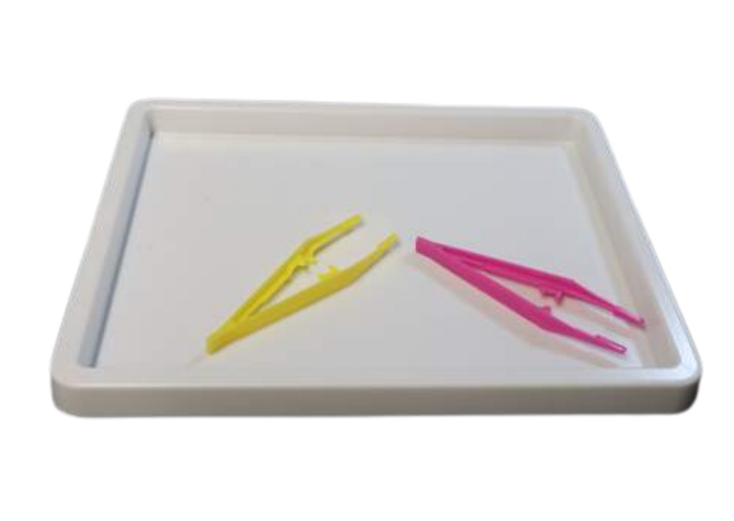Minibeasts Observation Kit Including Tray