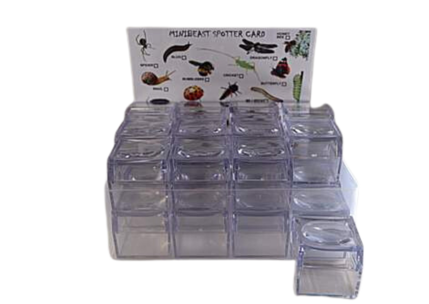Compact Bug Hunting Set Includes 24 Bug Viewers