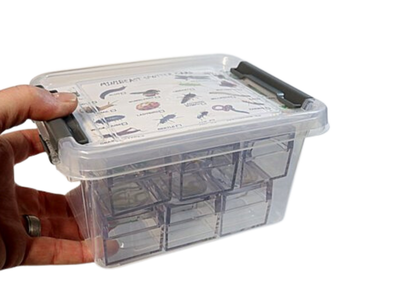 Mini Bug Hunting Set Including Bug ID Cards & Bug Viewers