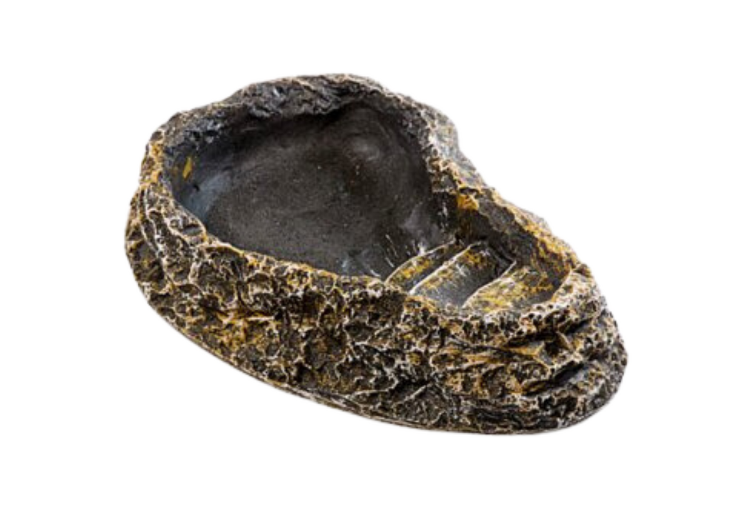 Rock Pool Bowl With Steps