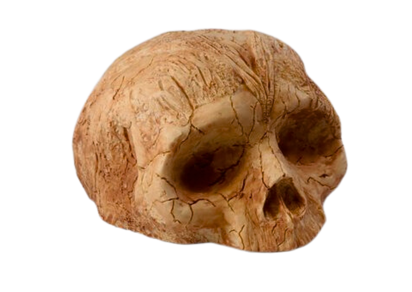 Large Skull Cave
