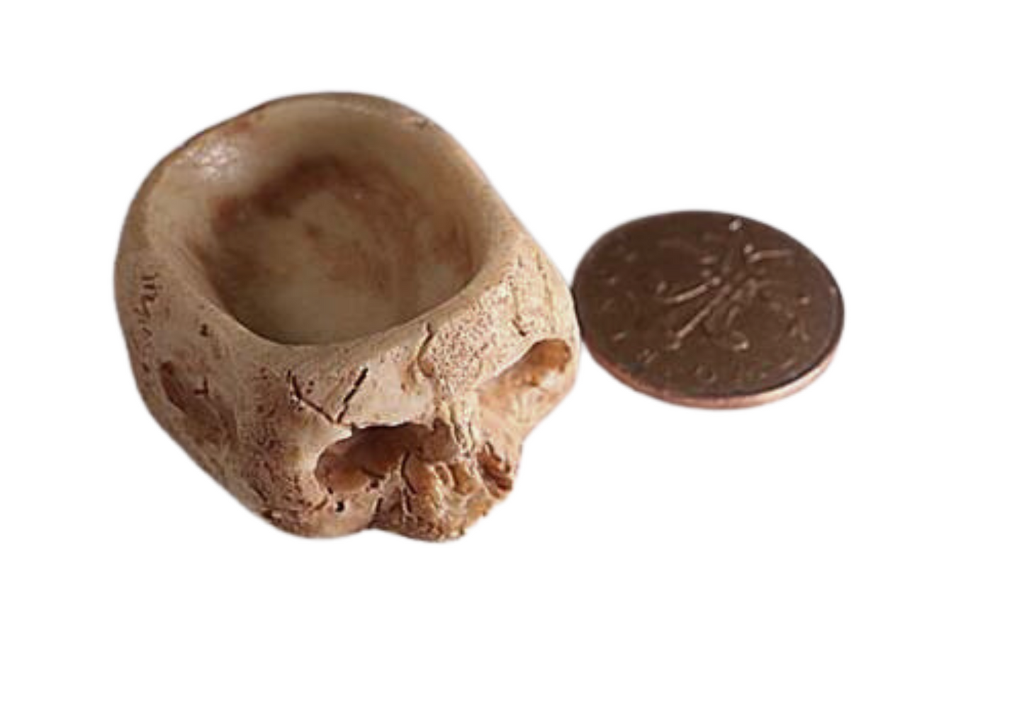 Mini Skull Food/Water Bowls