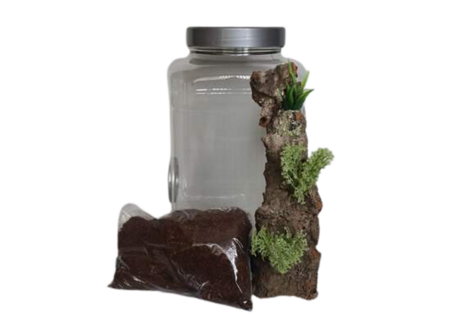 Square Round Style Insect Rearing Jar Twin Vented Coarse Mesh Silver Lid