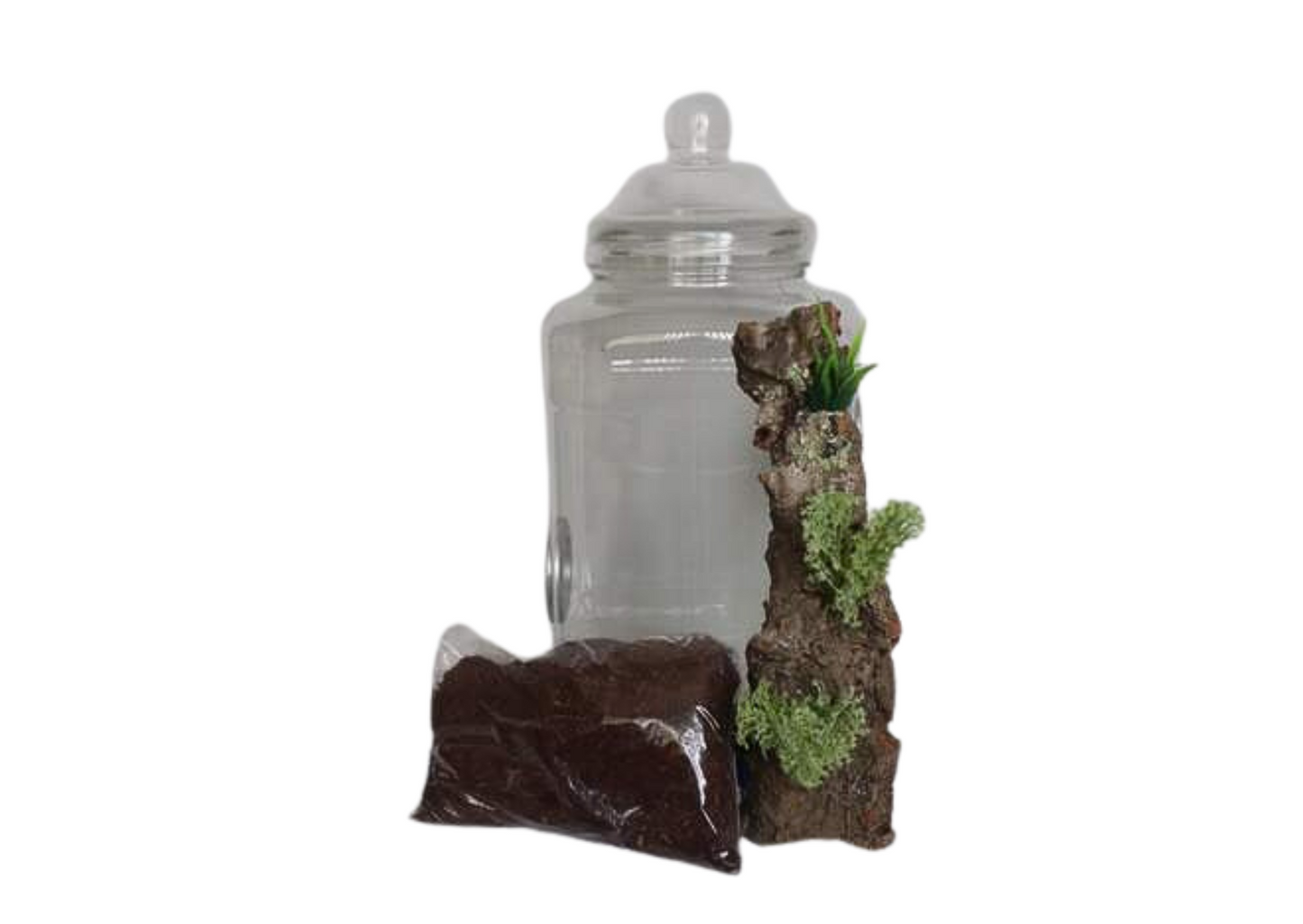 Square Round Style Insect Rearing Jar Twin Vented Fine Mesh Retro Lid