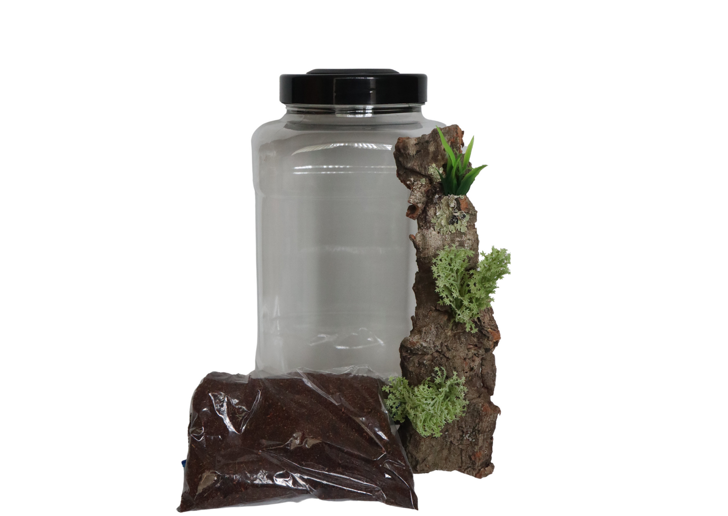 Square Round Style Insect Rearing Jar Coarse Mesh Vent Black Lid