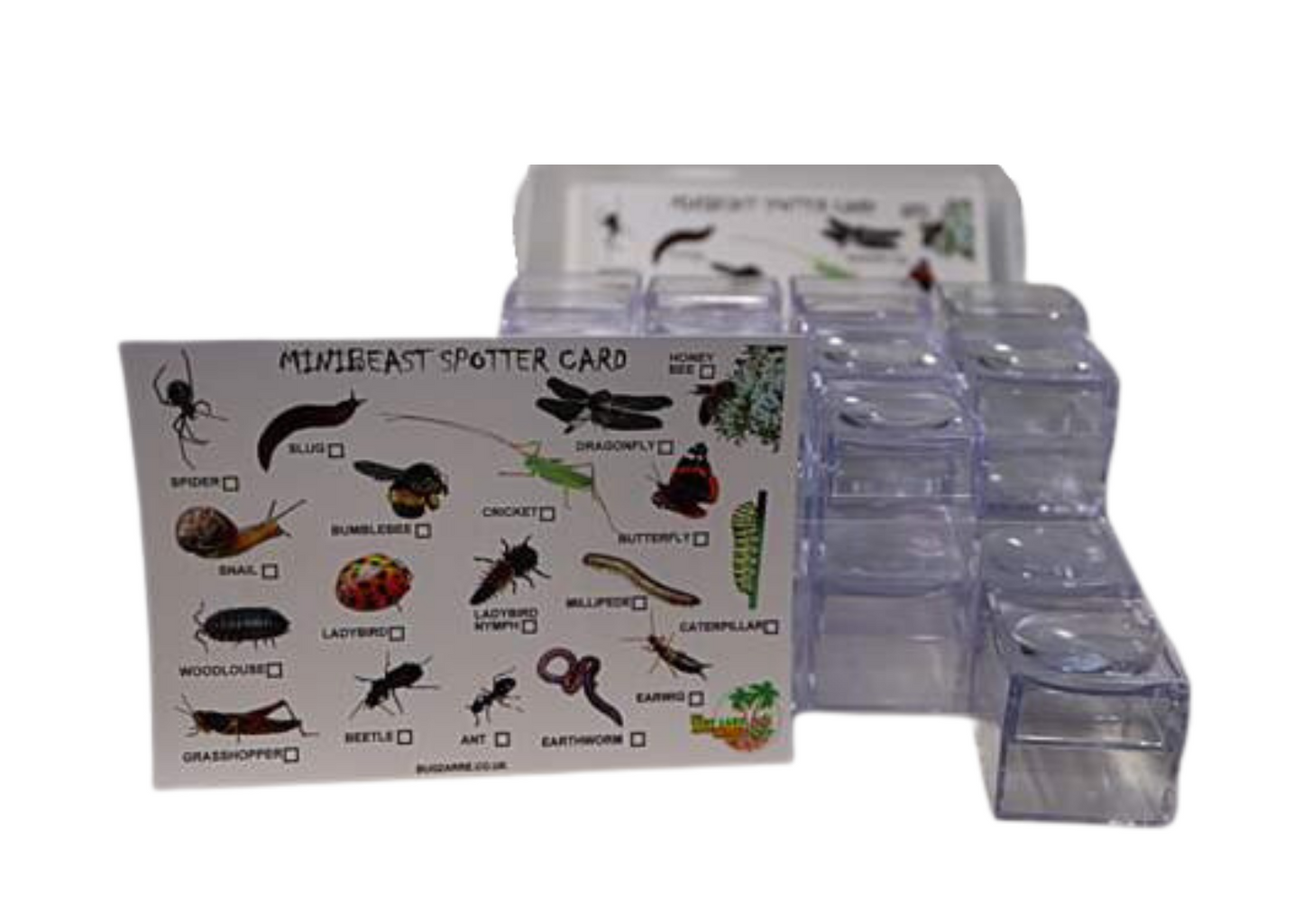 Compact Bug Hunting Set Includes 24 Bug Viewers