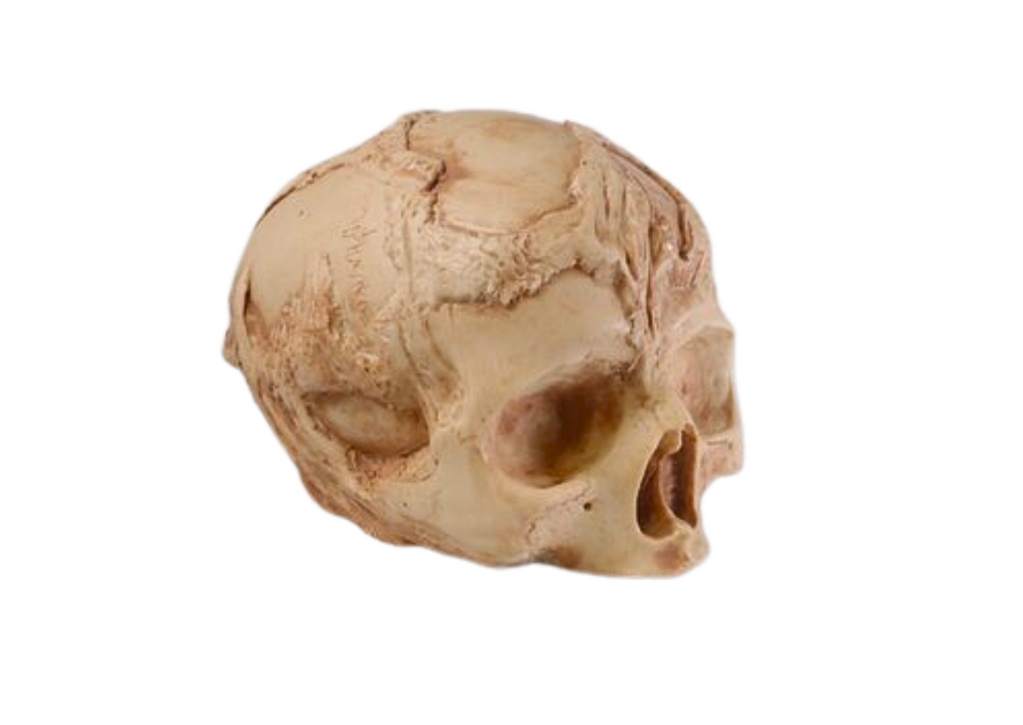 Small Skull Cave