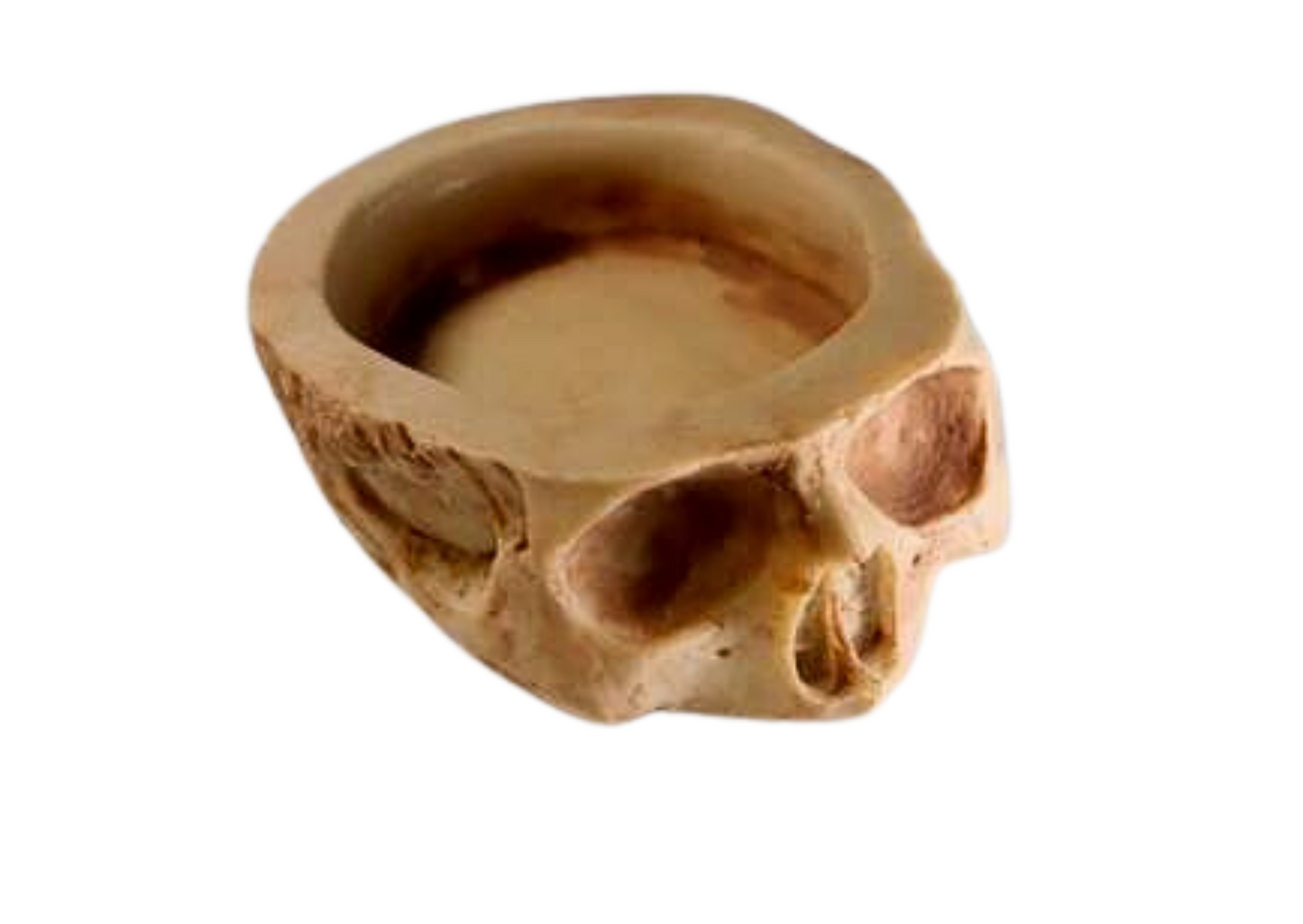 Small Skull Water/Food Bowl