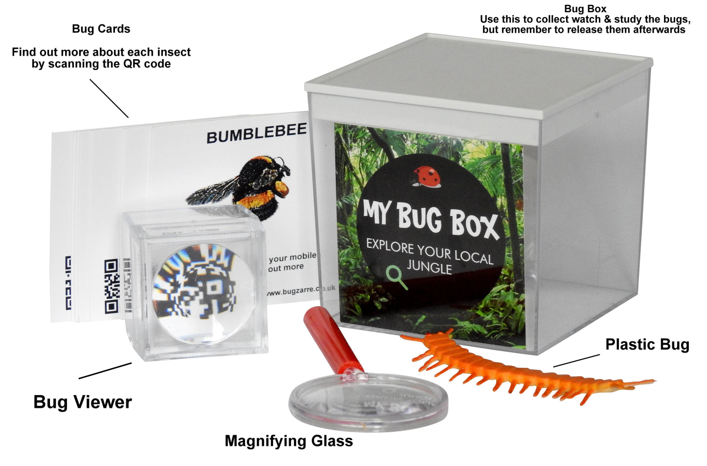 The Bug Box By My Bug Zoo
