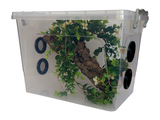 13 LTR Rectangle Insect Enclosure (Multi Vented)
