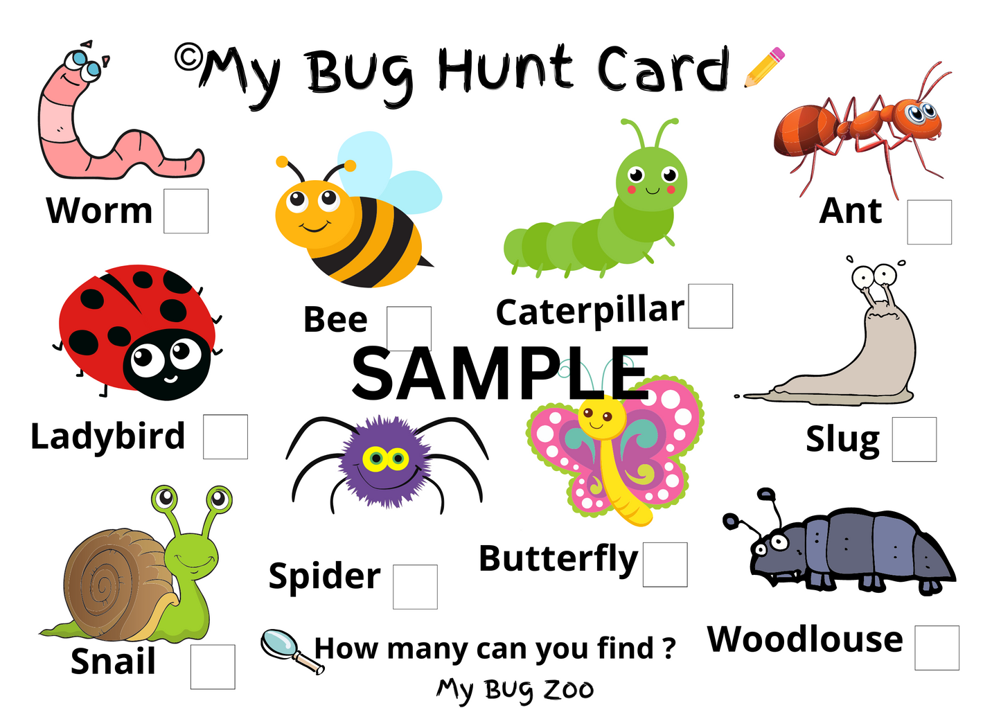 Compact Bug Hunting Set Includes 24 Bug Viewers