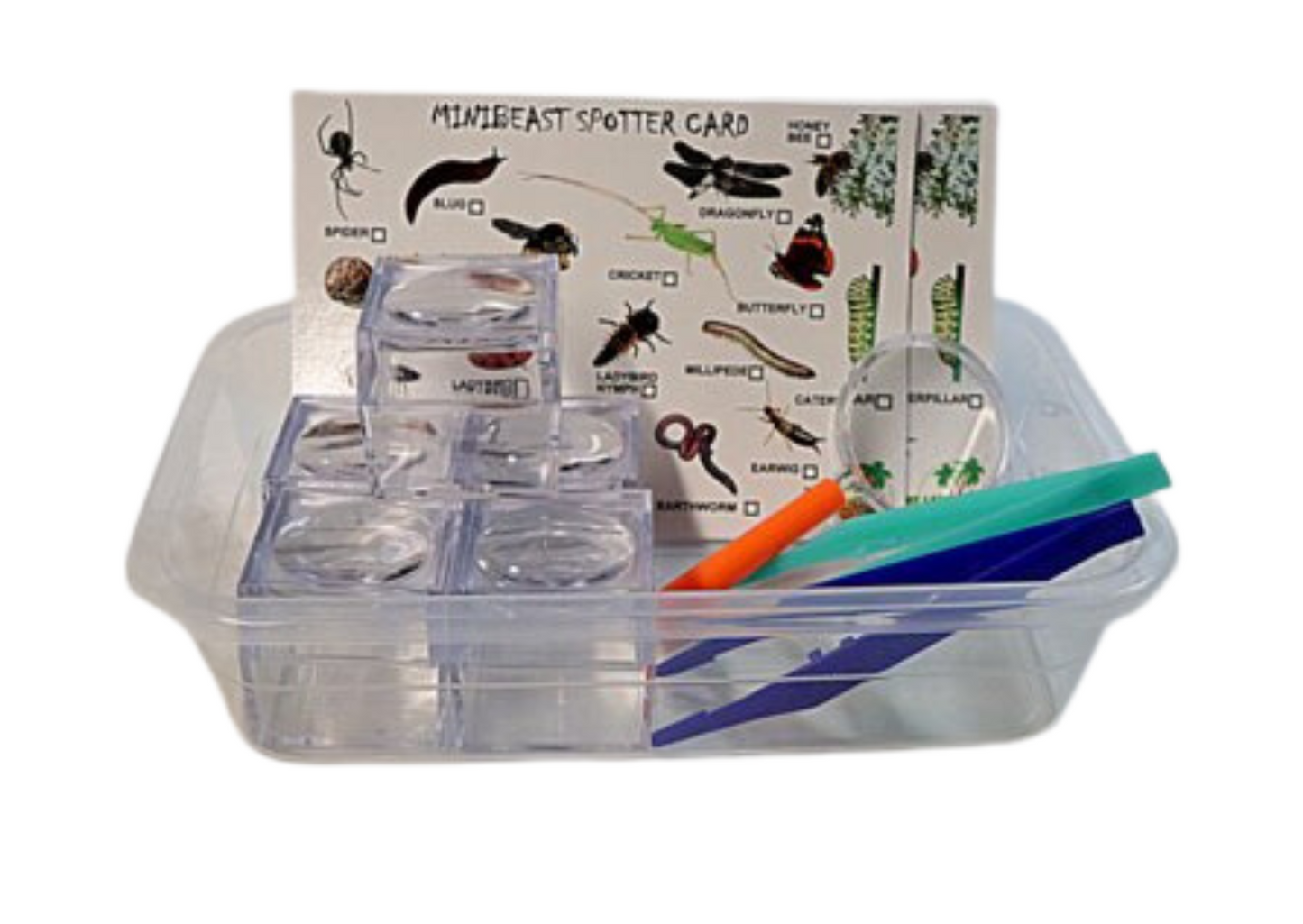 Mini 18 Piece Bug Hunting Set