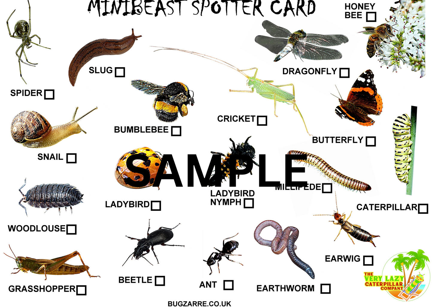 Mini Bug Hunting Set Including Bug ID Cards & Bug Viewers