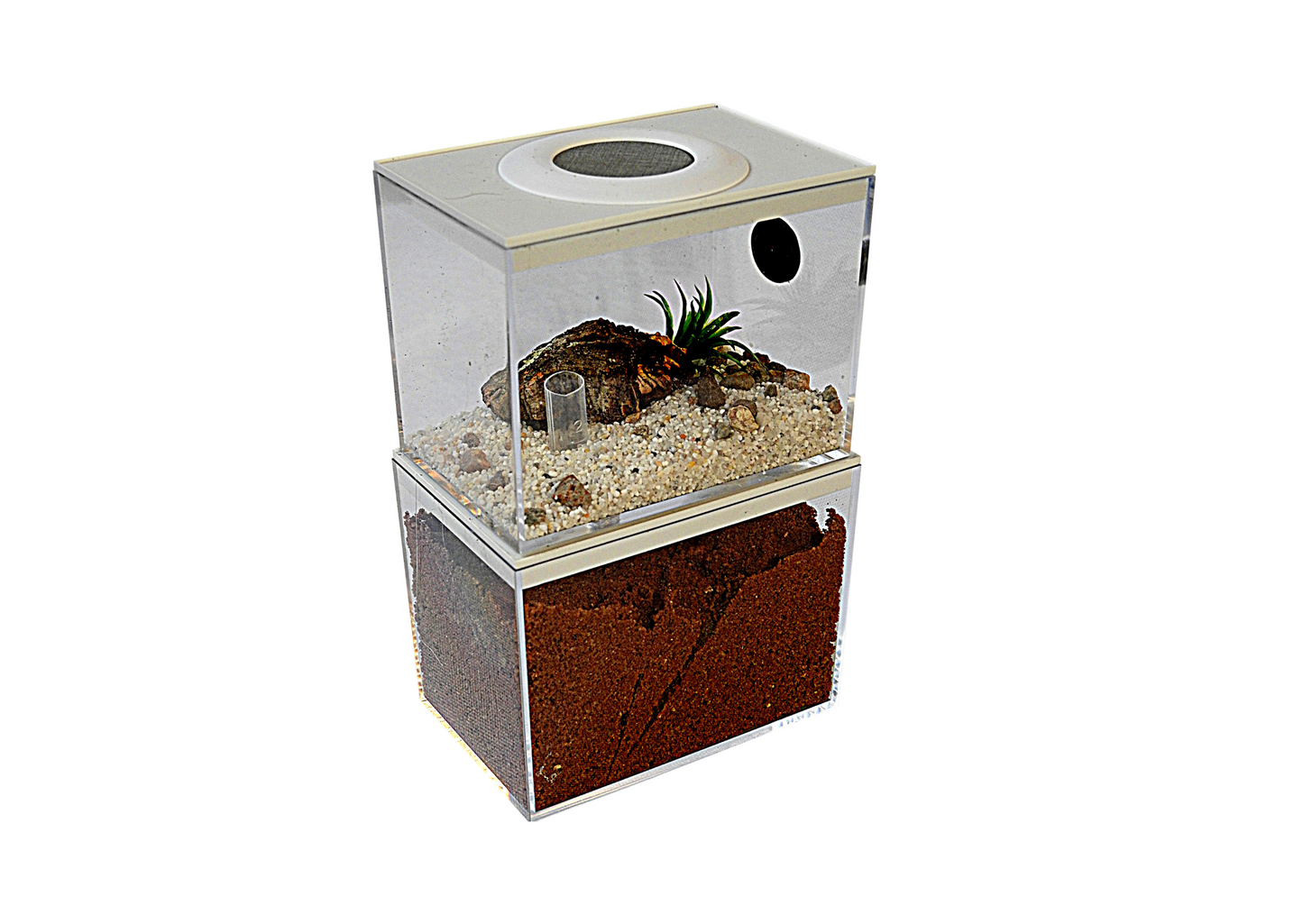 Ant Farm Double Decker Style