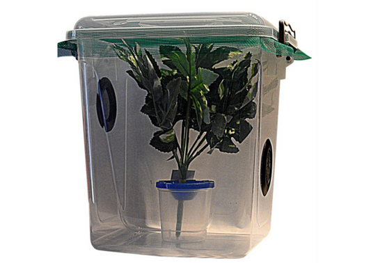 11 LTR Twin Vented Insect Enclosure