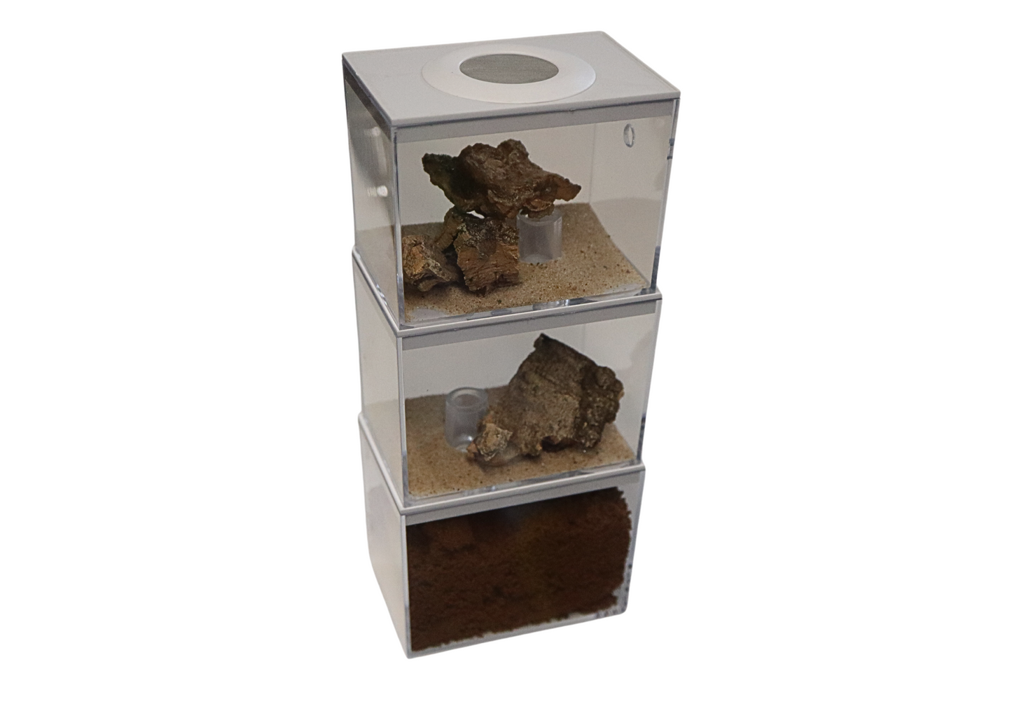 Ant Farm Triple Decker Style