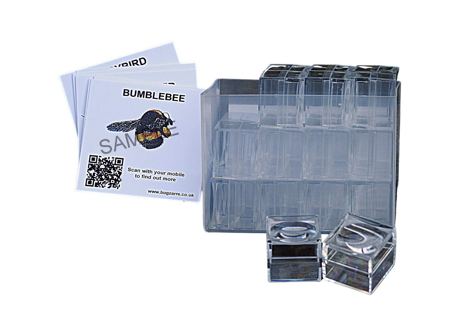 24 x Mini Bug Viewers including case & 12 insect spotter cards
