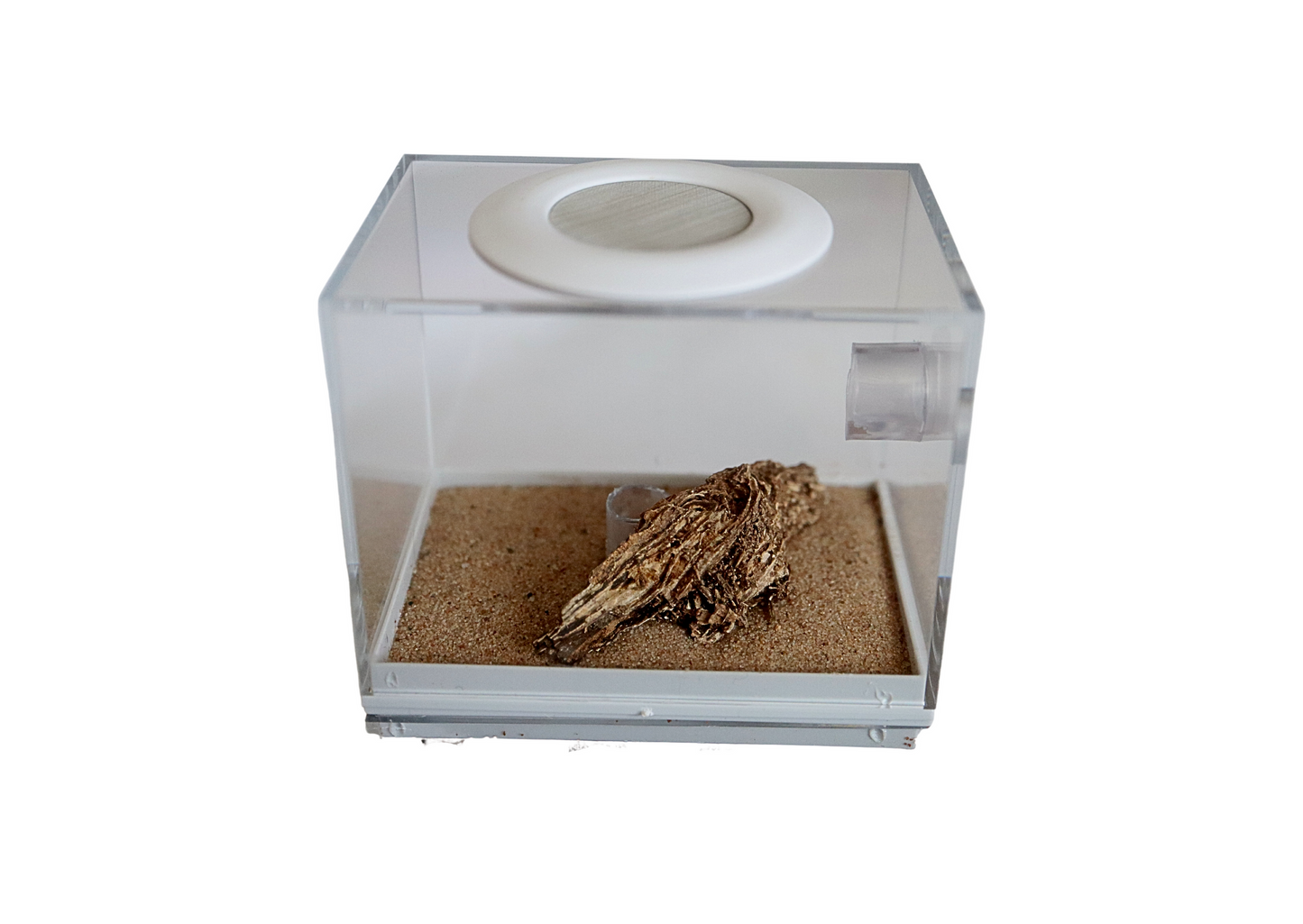 Nano Ant Farm Double Decker (New Clear Top Style)