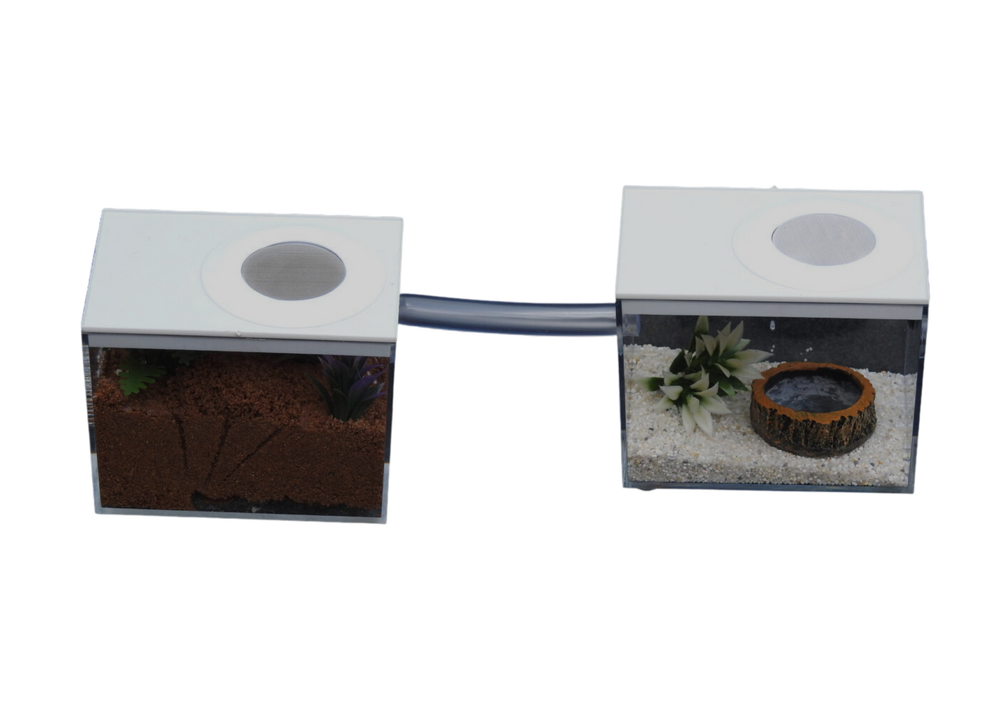 Nano Ant Farm Side By Side