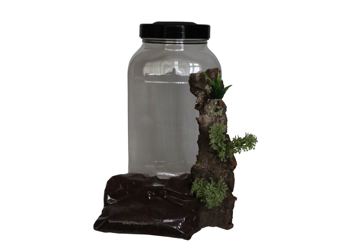 Classic Style Insect Rearing Jar Fine Mesh Vent Black Lid & LED LIGHT